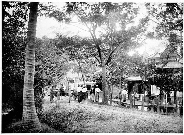 Wingaba Road, Rangoon c. 1905