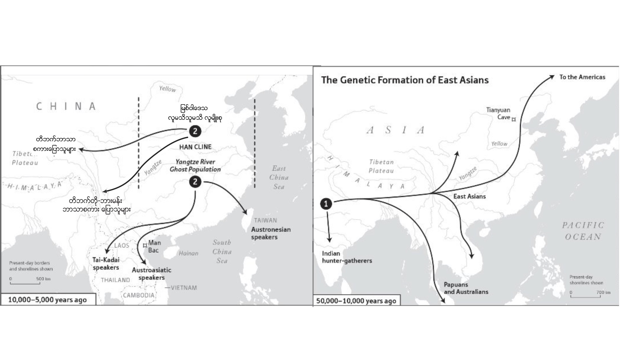 The genetic history of the Burmese people